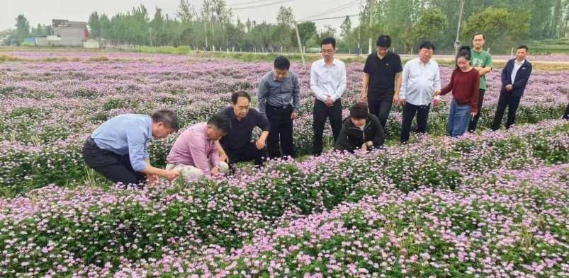 图1_20250709085704.jpg