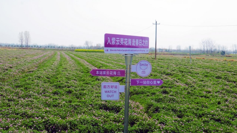 图4_20250709085820.jpg