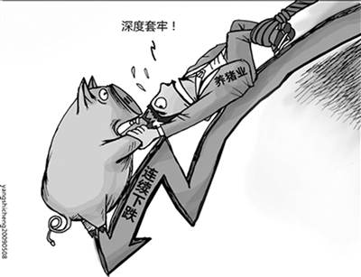 肉价降至三年最低 频繁&ldquo;蹦极&rdquo;为哪般？